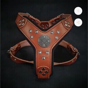 BESTIA The ''Maximus'' Dog Collar Harness Genuine Leather Brown Silver S-M EUC *